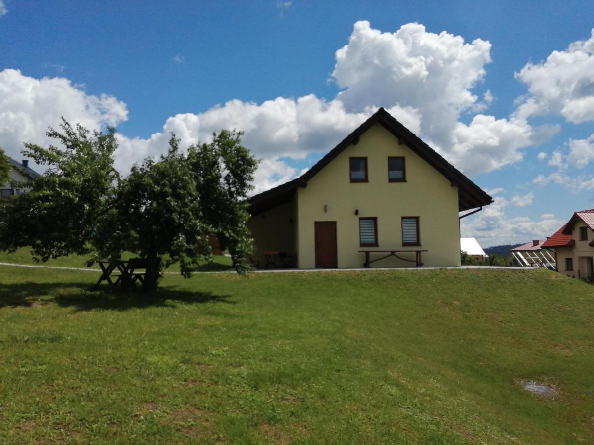 Domki Pod Beskidem Jaworzynka Buitenkant foto